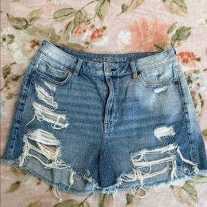 American Eagle Outfitters size 14 mom Shorts